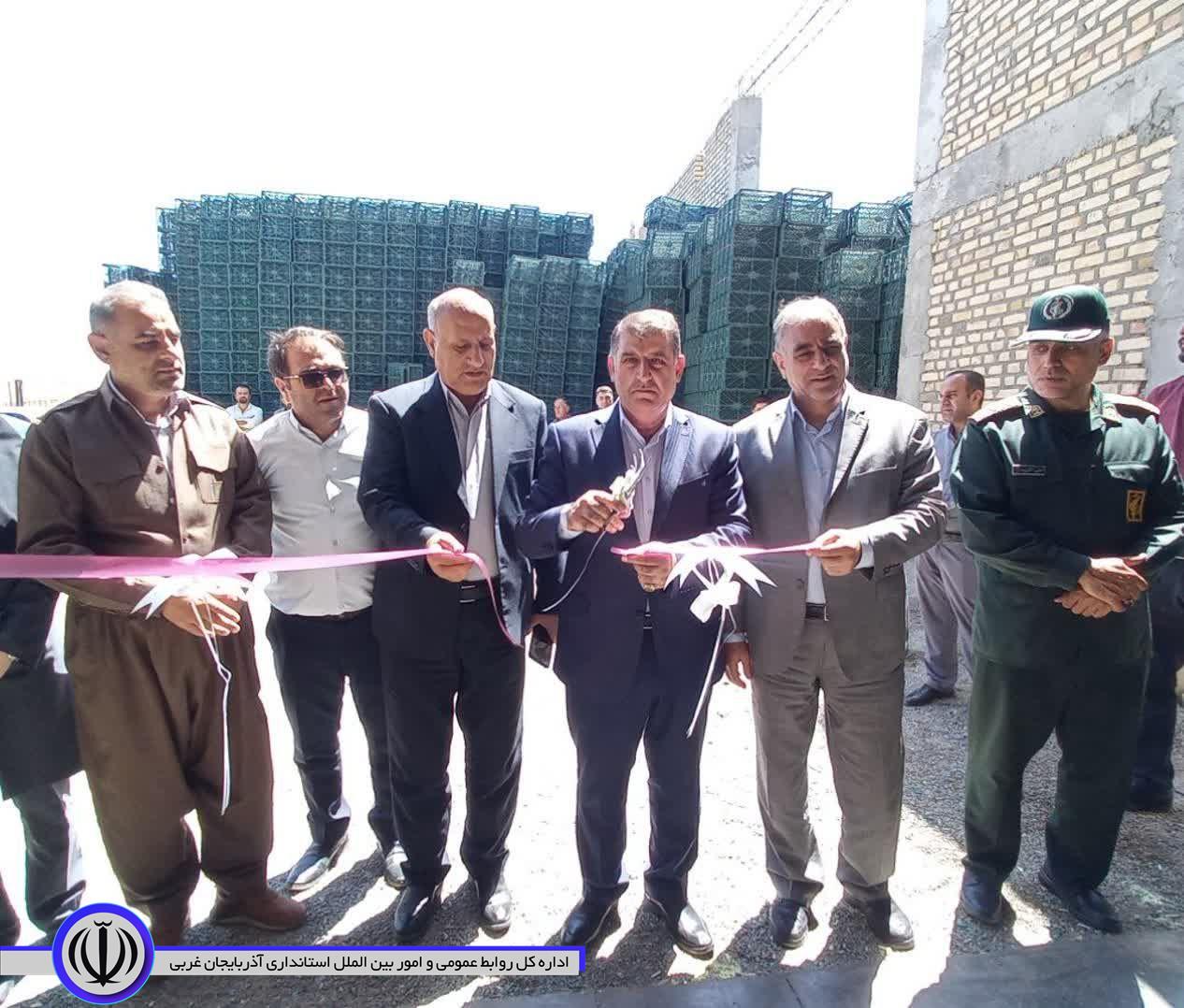 در آخرین روز از هفته دولت صورت گرفت.،