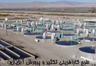 ۲۰ میلیارد ریال برای ایجاد سایت پرورش آبزیان سردآبی اشنویه اختصاص یافت