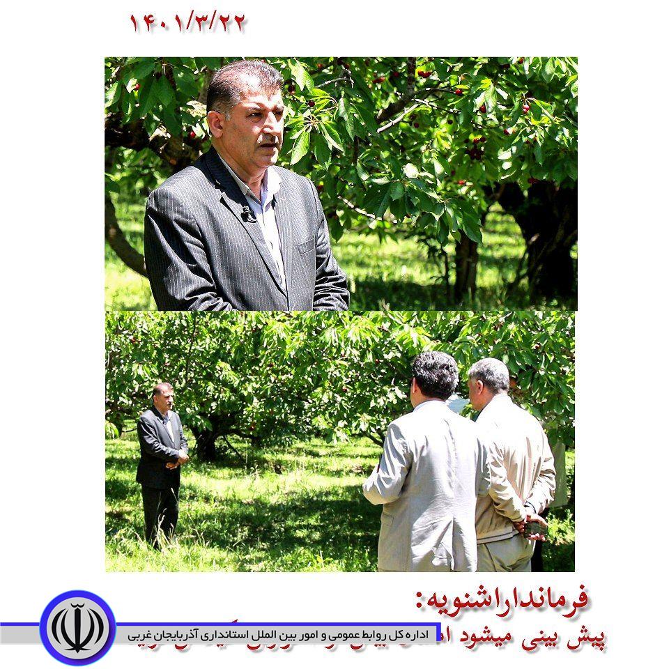 فرماندار اشنویه در گفتگو با برنامه ( سحریزخیر) صبح بخیر صدا و سیمای مرکز آذربایجانغربی: پیش بینی میشود امسال از باغات گیلاس اشنویه 4083 تن محصول برداشت میشود