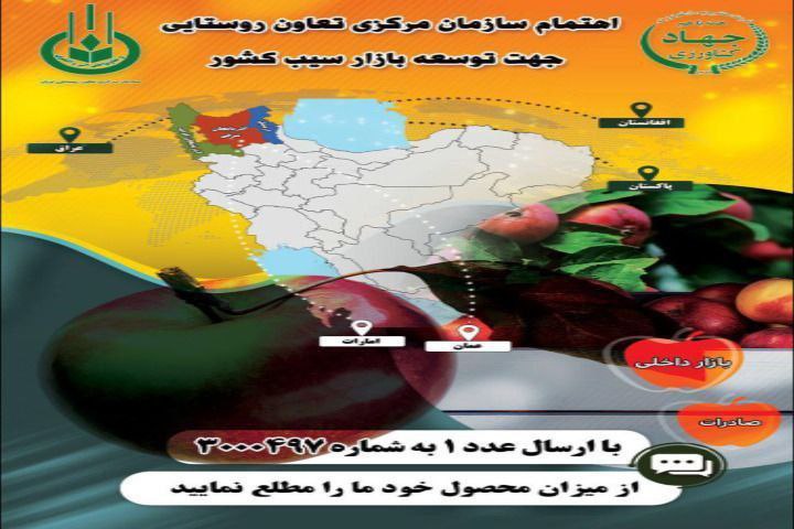 همزمان با سفر وزیر جهاد کشاورزی به استان آذربایجان غربی؛ 🔹سامانه پیامکی توسعه بازار سیب استان راه اندازی شد