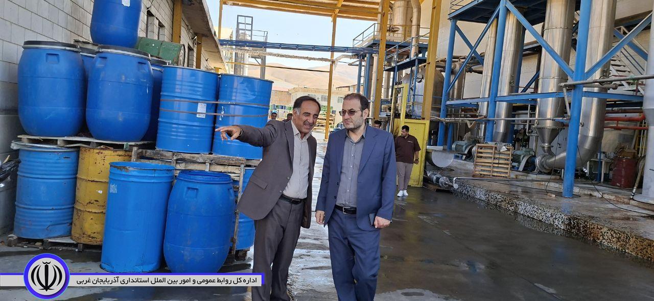 بازدید فرماندار اشنویه از واحد تولیدی «شهد فرداد زرناب»؛ تأکید بر رفع موانع تولید و حمایت از سرمایهگذاری