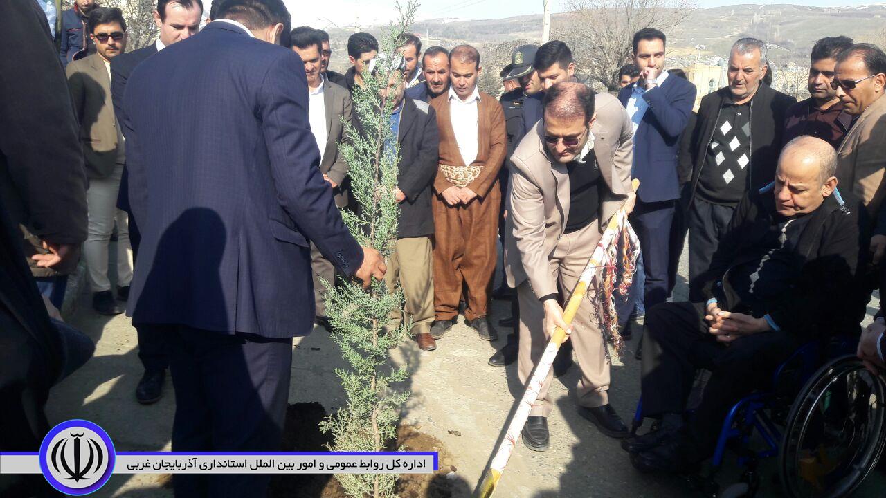 آیین درختکاری بمناسبت هفته منابع طبیعی