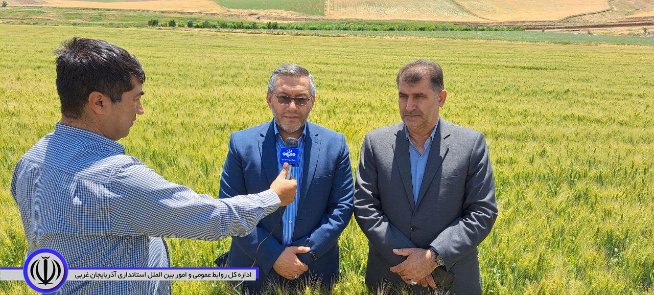 رئیس سازمان جهاد کشاورزی استان آذربایجان‌غربی از آمادگی و تمهیدات لازم برداشت گندم در استان خبر داد