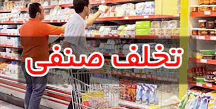تشکیل 11هزار فقره پرونده تخلف کالا و خدمات در استان