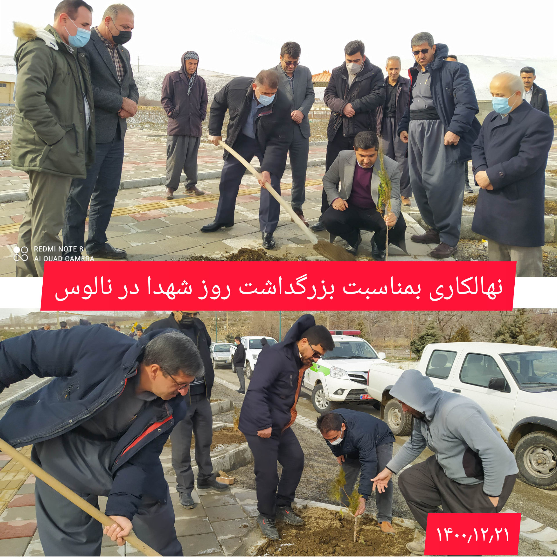 غرس نهال در آخرین روز از هفته منابع طبیعی ، بمناسبت بزرگداشت روز شهدا در شهر نالوس با حضور فرماندار، بخشدار، شورای اسلامی و شهردار نالوس