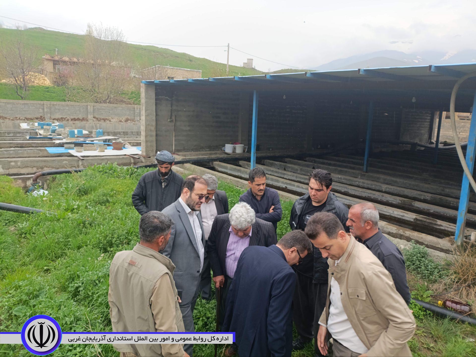 بازدید فرماندار شهرستان اشنویه از واحد پرورش ماهی قزل آلای پی قلعه