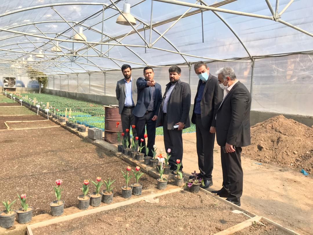 بازدید سرپرست معاونت هماهنگی امور عمرانی استانداری آذربایجان غربی از فعالیت زیباسازی شهرداری ارومیه در آستانه عید نوروز