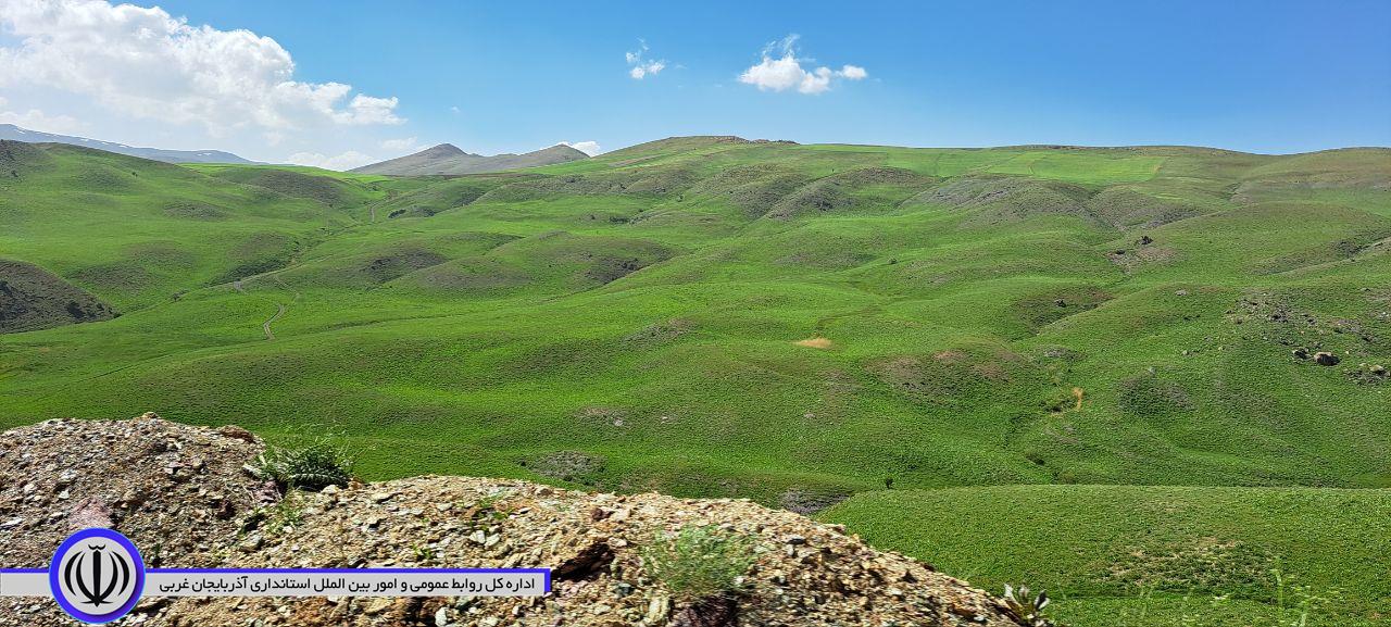 طبیعت زیبای دره گردکاشان اشنویه
