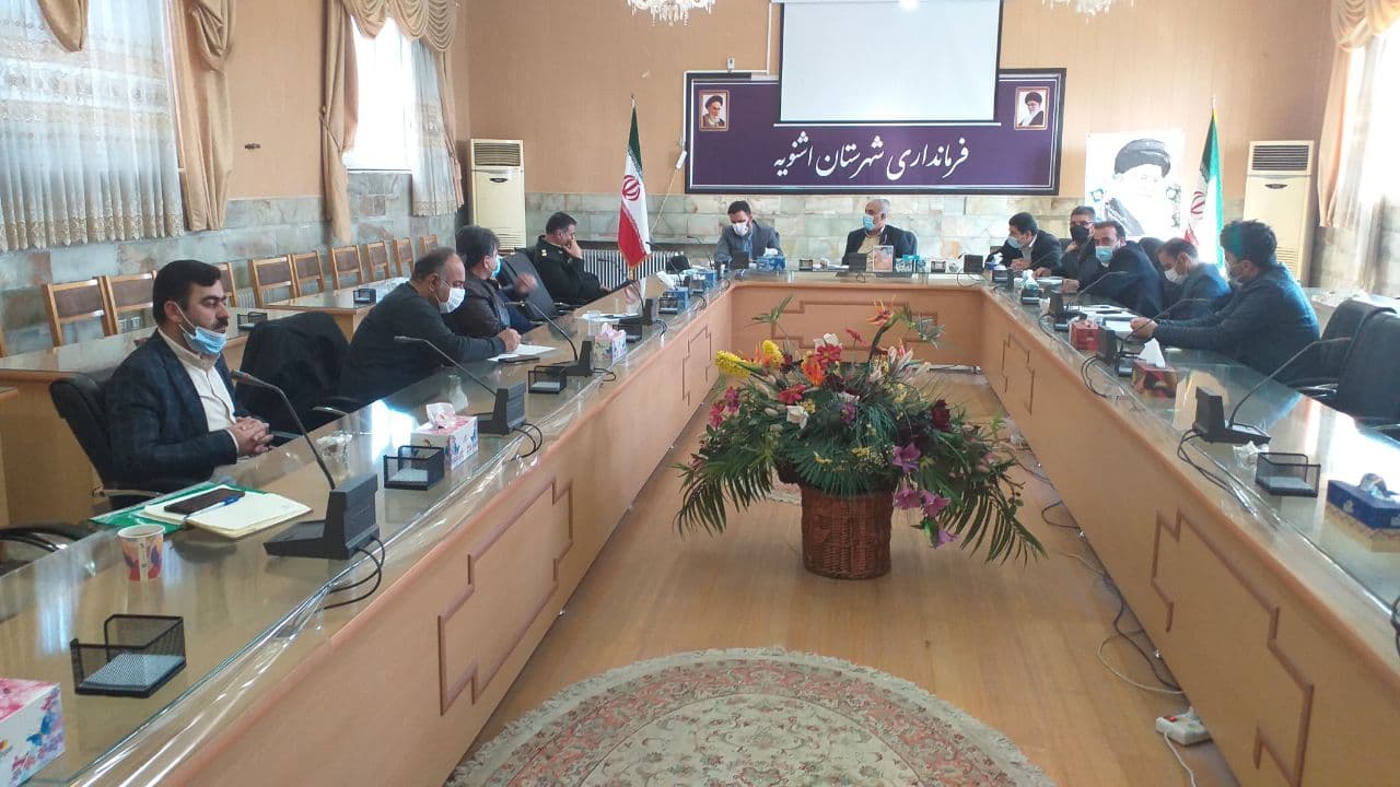 برگزاری جلسه کنترل و ساماندهی سگ های ولگرد