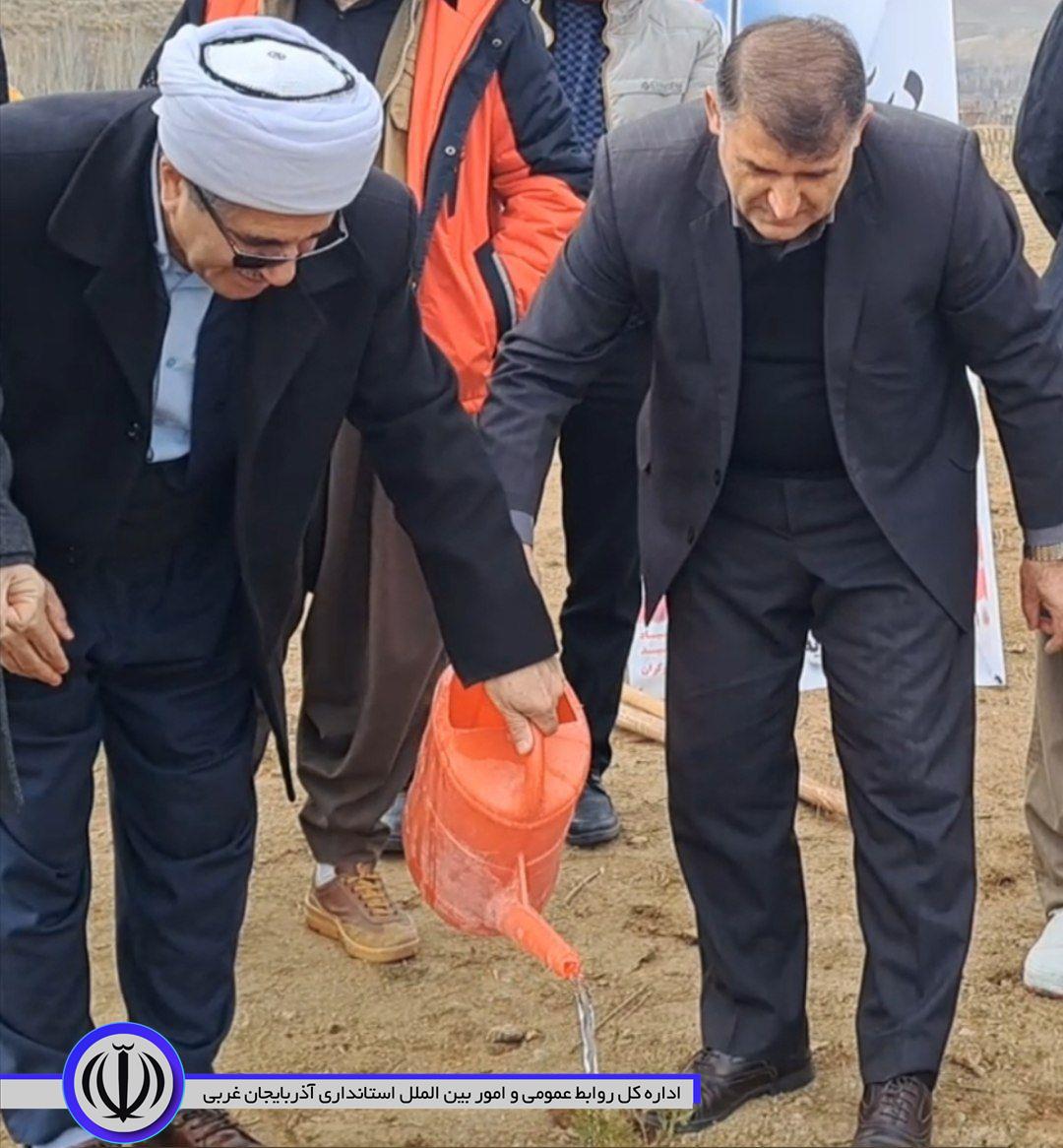 کاشت نهال بمناسبت هفته زن در پارک جنگلبان نالوس