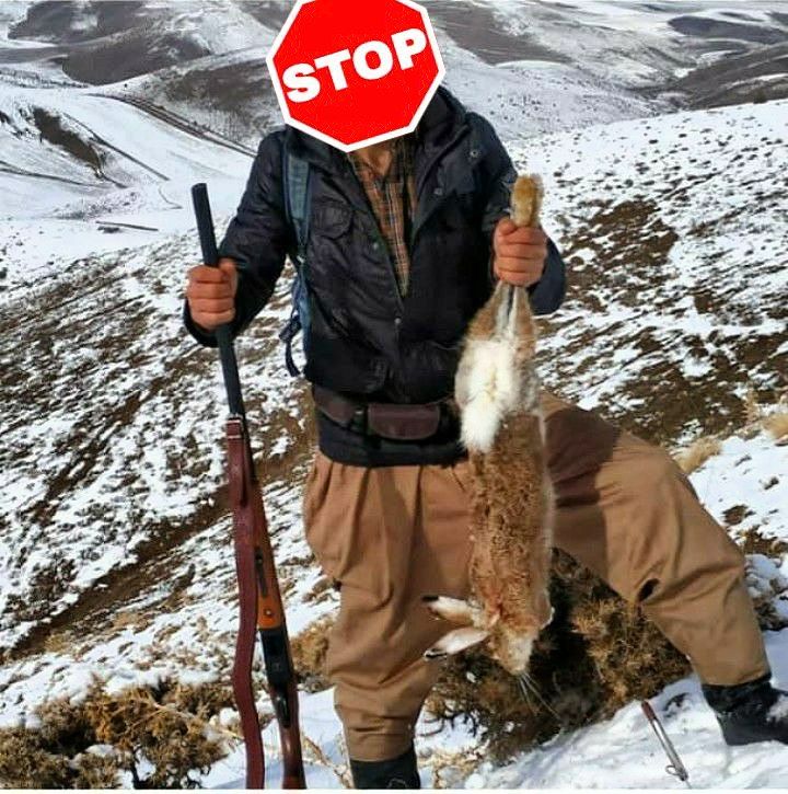 دستگیری شکارچیان متخلف در اشنویه