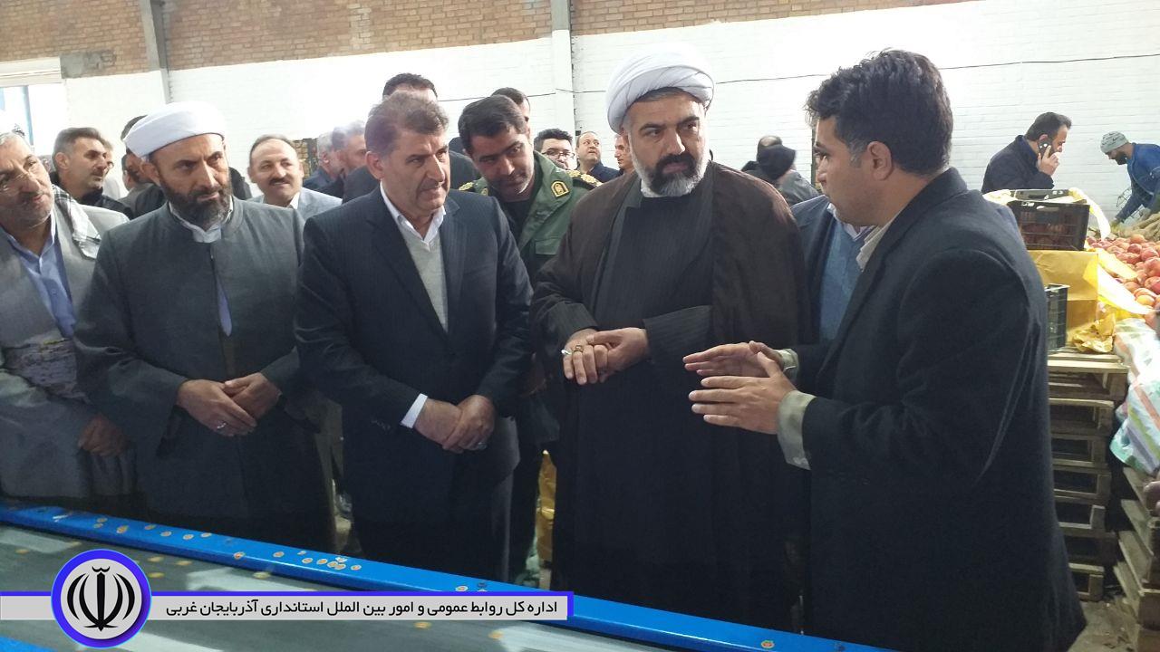 افتتاح طرح های تعاون روستایی