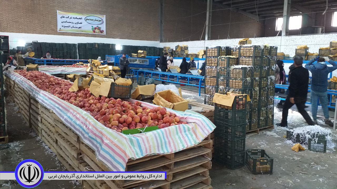 افتتاح طرح های تعاون روستایی
