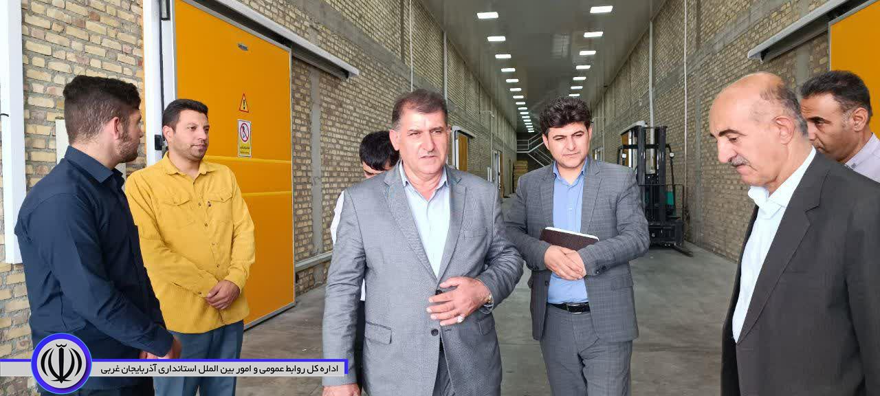 بازدید فرماندار اشنویه از واحدهای سردخانه و سورت و بسته بندی