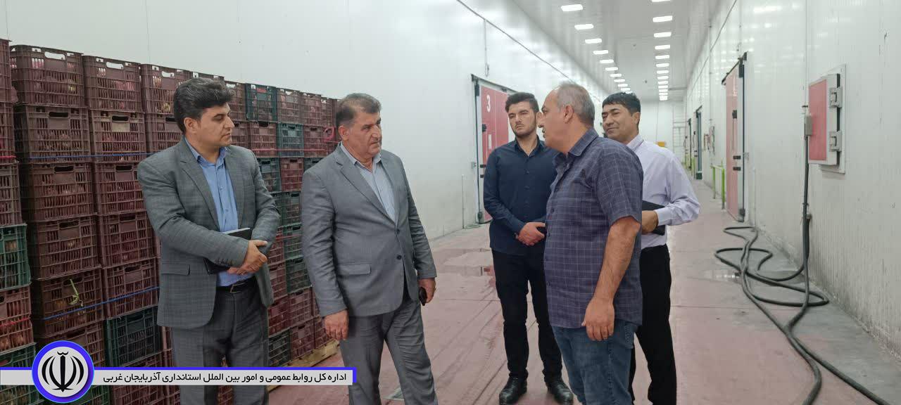 بازدید فرماندار اشنویه از واحدهای سردخانه و سورت و بسته بندی