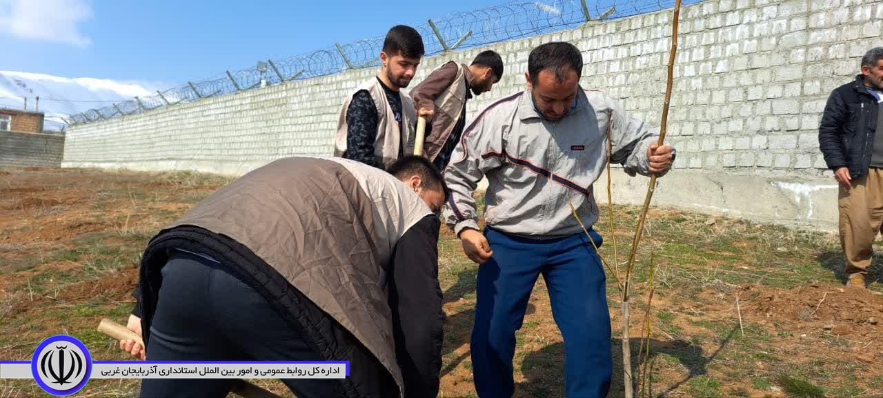 گزارش تصویری نهالکاری بمناسبت روز درختکاری با حضور سید علی ترابی فرماندار شهرستان اشنویه