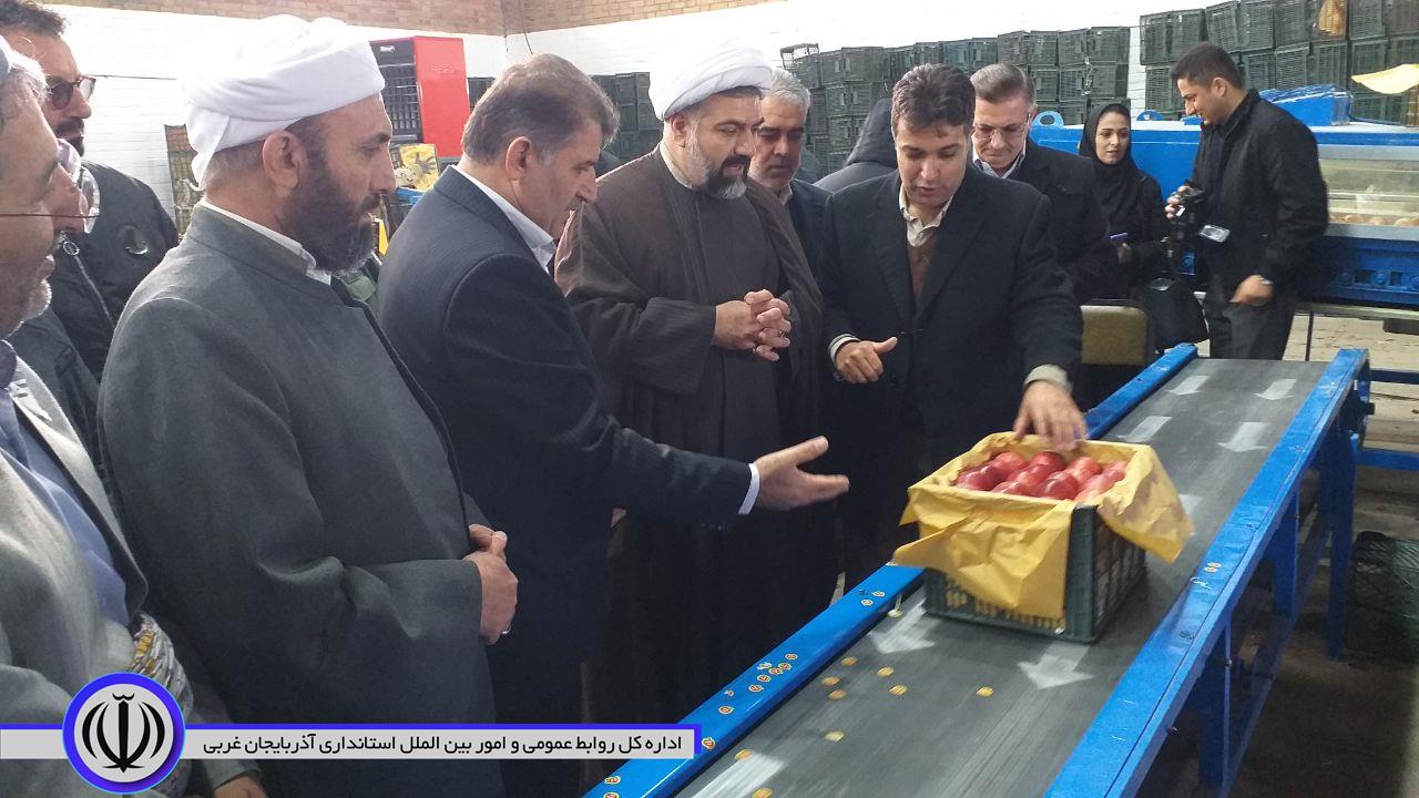 افتتاح طرح های تعاون روستایی