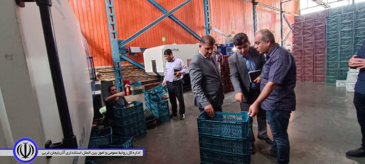 بازدید فرماندار اشنویه از واحدهای سردخانه و سورت و بسته بندی