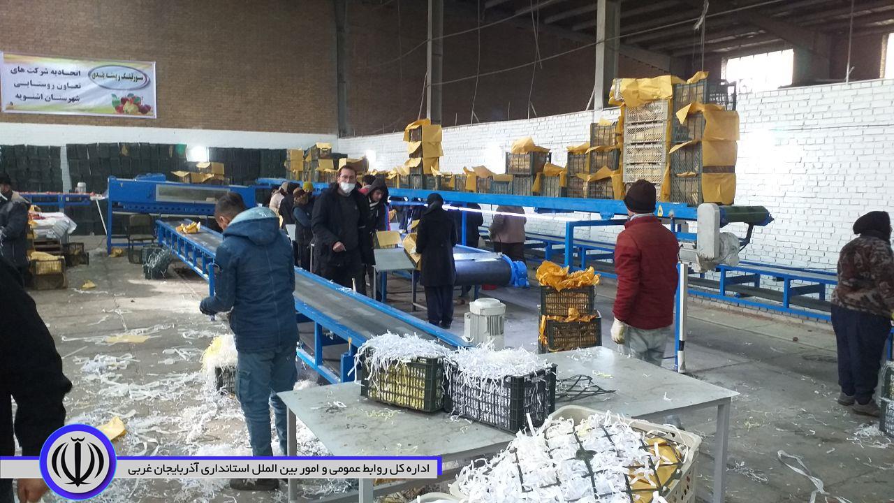 افتتاح طرح های تعاون روستایی